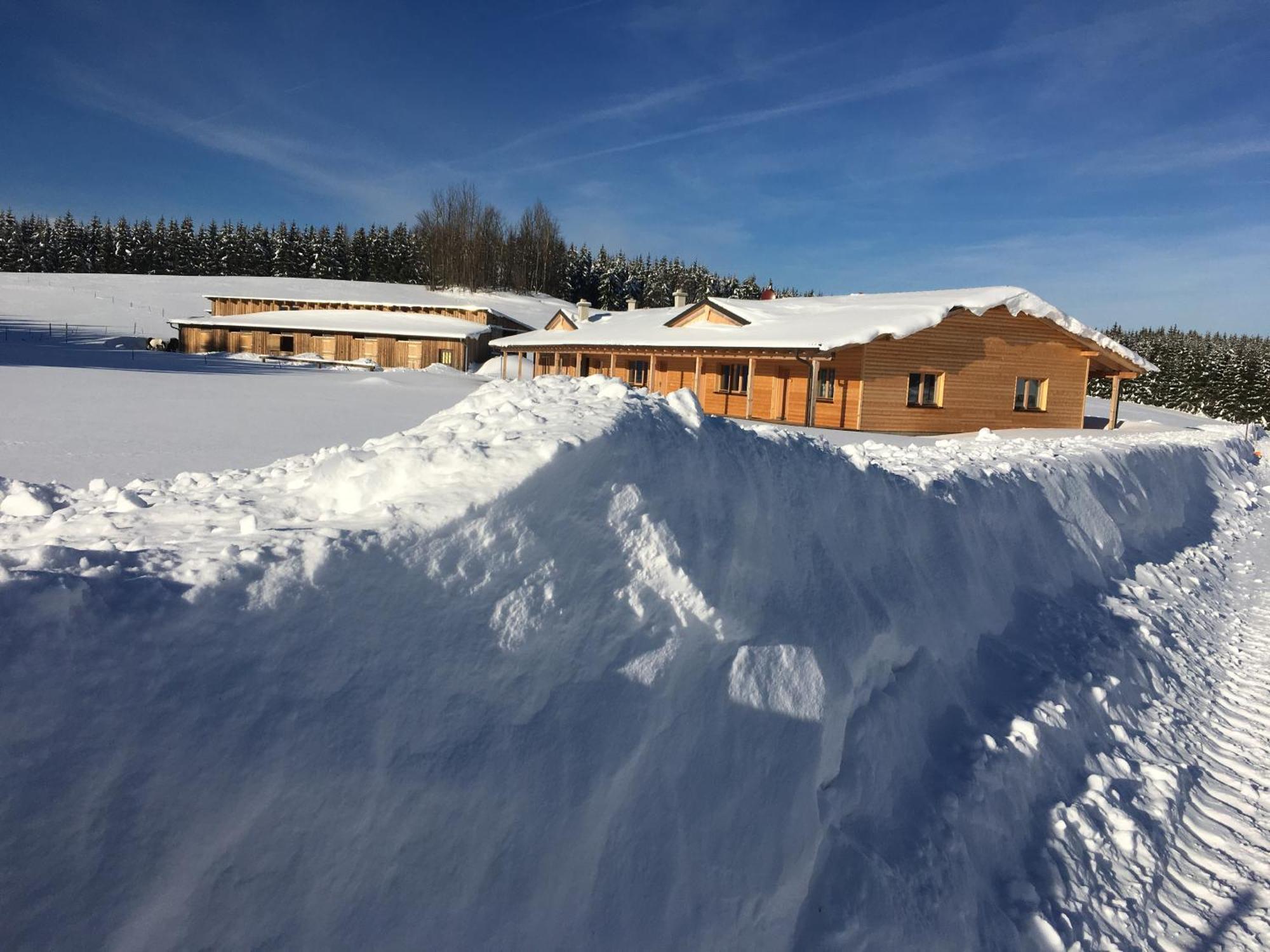Big Sky Ranch Bed & Breakfast Liebenau  ภายนอก รูปภาพ
